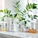 benefits of customized skincare